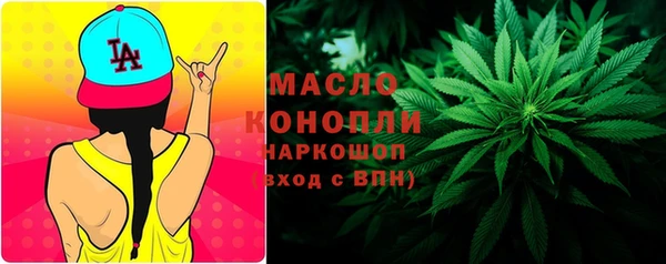 индика Вязьма