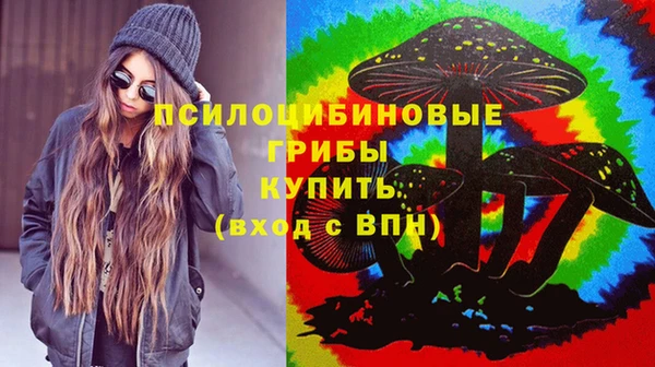 ПСИЛОЦИБИНОВЫЕ ГРИБЫ Волосово
