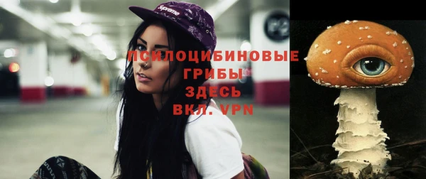 стаф Вязники