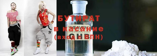 индика Вязьма