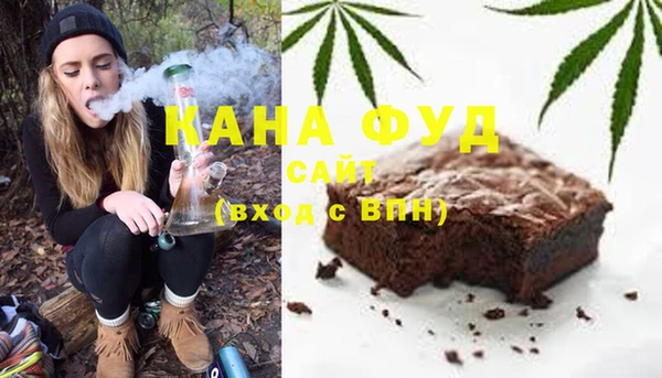 индика Вязьма