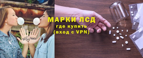 индика Вязьма