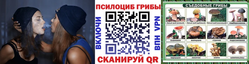 Псилоцибиновые грибы Psilocybine cubensis Купить где Фурманов